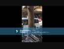木村魚拓の窓際の向こうに #378