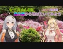 セイカさん達と鳥の栖から羽ばたいてみよう Part7.5【コメント返信回】