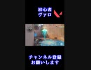 思わず鶏になってしまった