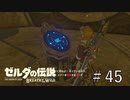 メドー内部を攻略する【ゼルダの伝説ブレスオブザワイルド】#45