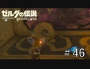 もうわけわからん【ゼルダの伝説ブレスオブザワイルド】#46