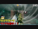 【ゆっくり実況】5度目のゼルダ！ 初めてのティアーズオブザキングダム！ part45 【ティアーズオブザキングダム】