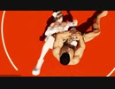 DOA 6 Ryona リョナ Hitomi ヒトミ – Nyotengu Monomi-Yagura Counter, Bayman Rolling Leg Lock