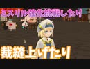 【MasterofEpic】ミスリル強化挑戦！＋4まで！盗み上げなんだり裁縫上げしたりします！【声実況】