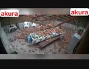 ホモと現場猫と見る　死神が来る！死が近い瞬間 124 125