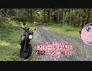 【CeVIO車載】フィーちゃんとだらだら二輪日記　秋鹿林道