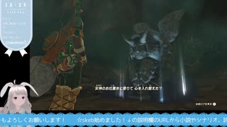 【生放送アーカイブ】ゴロンの異変調査に向かう道程なティアキン生放送11回目【1/9】