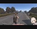 ナースロボ_タイプTのDayz目録part.1