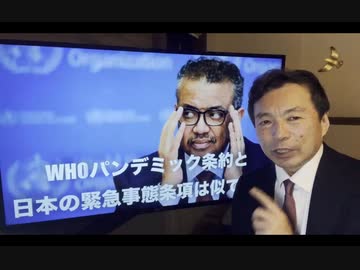 及川幸久さんXNEWS【世界保健機構】WHOパンデミック条約と日本の緊急事態条項は似ている