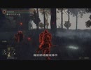 エルデンリング TMCターニッシュドメイクライ侵入part135