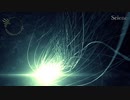【NNIオリジナル】Selene