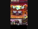 激カザーン【最高MAX99枚BET】