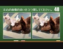 【間違い探し】猫×脳トレ「 猫の間違い探し」vol.1