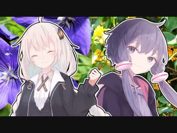 置き手紙と秋【VOICEROID劇場】