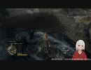 【ドラゴンズドグマ】第11回_02_素材を求めてカンカンカンカン【ダークアリズン】