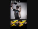 脳漿炸裂ガール  (Bass&Drum Cover)