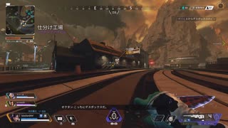 apexチャンピオン (2)