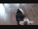 一人遊び