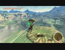 【Switch】リンクがゾナウとゼルダ探し旅【プレイ動画】part134