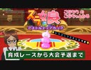 DQX＿スライムレース2024_育成から予選まで【こなちうのこなちゃんねる】