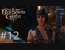 酒の席でチェリー君のチェリーが狙われている【baldur's gate 3】実況プレイ #12