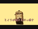 ミイラ