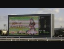 2024年1月16日_船橋競馬_3R_ウマ娘コラボグッズGETしよう記念_ダート1500_馬場入場