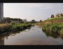 【v_flower】風のように