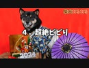 さらに柴犬のことが超わかる「柴犬あるある」８選 - 柴犬の可愛い特徴・特性・性格まとめ【柴犬学】