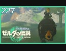 #227【ゼルダの伝説ティアーズオブザキングダム】ちょっと世界を翔けてくる【実況プレイ】