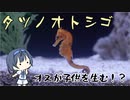 つづみの10秒おさかな解説#18　タツノオトシゴ