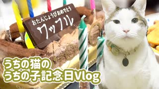 飼い猫の誕生日をお祝いしました。