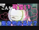 【グノーシア】【女性実況】守りたいこの笑顔part5【初見実況】