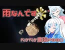 2024年1月20日　農作業日誌P880　雨がずっと降っていたので比較的ゆっくりしていたよ