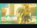 #228【ゼルダの伝説ティアーズオブザキングダム】ちょっと世界を翔けてくる【実況プレイ】