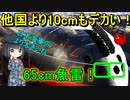 【兵器解説】なんでソ連の潜水艦の魚雷は大きかったの？