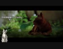 【Stray】方向音痴の時事猫が猫の放浪を見守るゲーム#1　別離