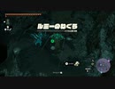 【ゼルダの伝説 ティアーズ オブ ザ キングダム】再びハイラルを救うまで【実況】 part204