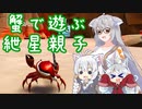 【Crab Champions】紲星親子が蟹のゲームで遊ぶよ【VOICEROID実況】