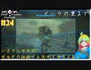 いまさらマキのゼルダの伝説 ブレス オブ ザ ワイルド＃14