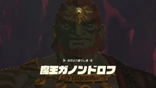 副背後の「ゼルダの伝説　ティアーズ　オブ　ザ　キングダム」　ハイラル