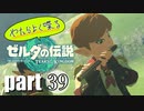 やたらよく喋る騎士 part39【ゼルダの伝説Tears of the Kingdom】