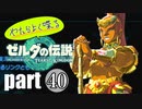 やたらよく喋る騎士 part40【ゼルダの伝説Tears of the Kingdom】
