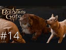モフモフとモフモフが仲良くなる【baldur's gate 3】実況プレイ #14