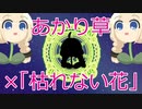 あかり草がテーマソングを見つけたようです【魔王魂「枯れない花」】