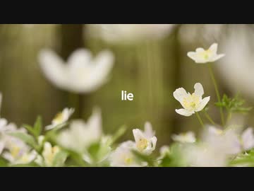 鳴花ヒメ / Beautiful Lie (2024)