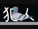 あの鳩絶対に許さん