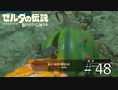 ３ルピー足りん【ゼルダの伝説ブレスオブザワイルド】#46