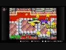 【マリオ＆ルイージRPG】　あかいヒゲとみどりのヒゲ　part30【初見実況】