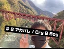 # 8 アカバレ / Cry G Boy